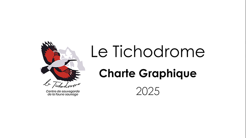 Charte graphique Tichodrome 1/6