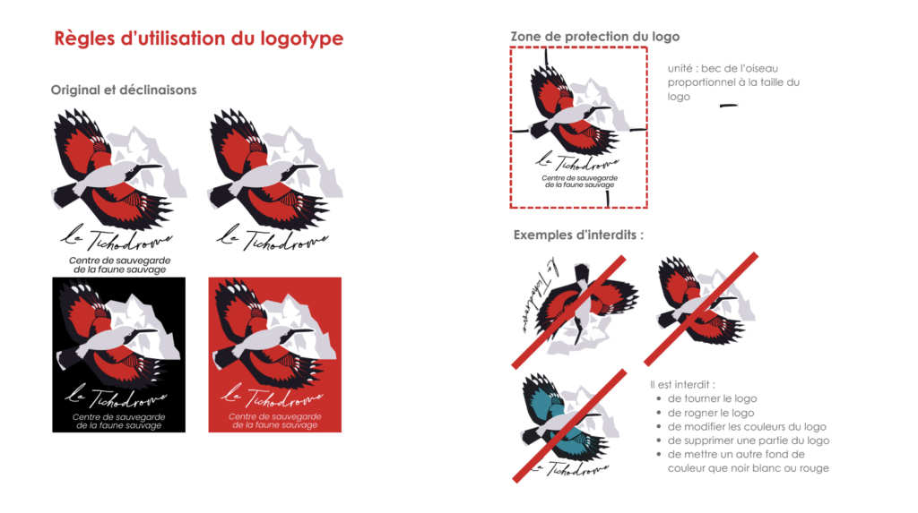 Charte graphique Tichodrome 2/6